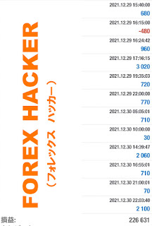 FOREXHACKERフォレックスハッカー12実績